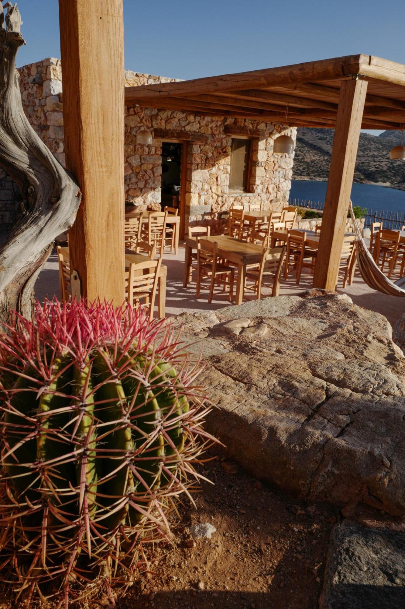 Phisis Nature Retreat Donoussa Exterior photo
