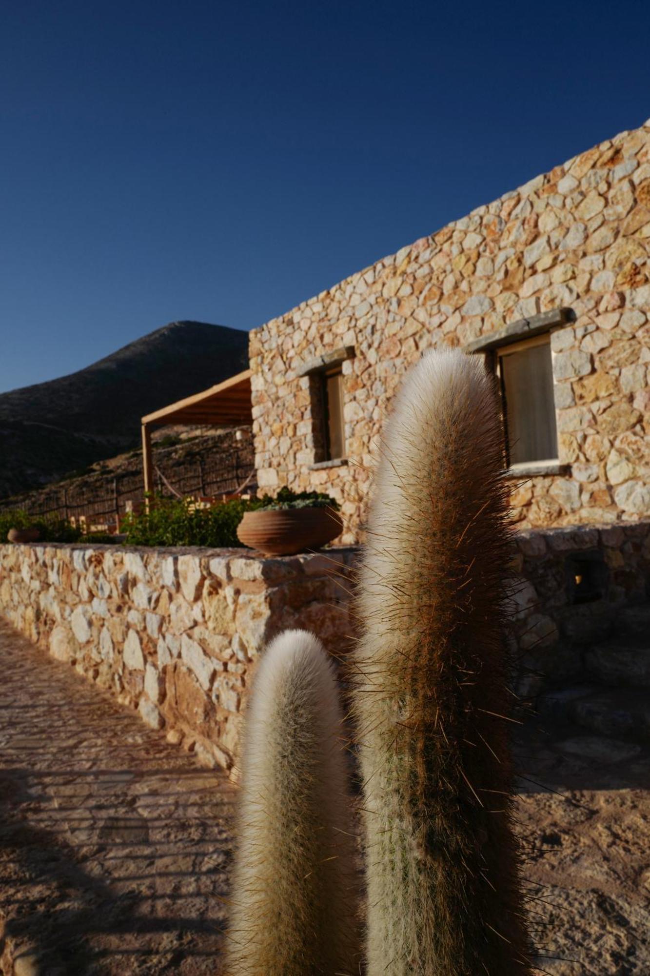 Phisis Nature Retreat Donoussa Exterior photo